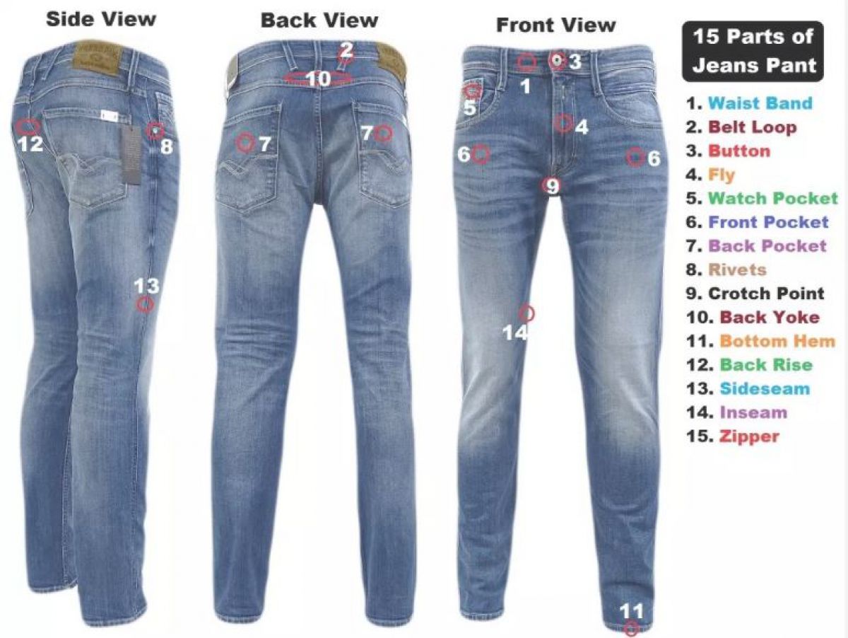 BASIC PARTS OF THE JEANS CLOTHING